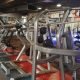Sell the Gym setup of Company Cybex