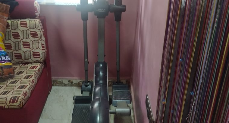 Cross Trainer Stayfit