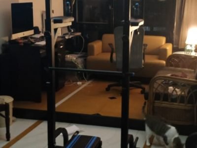 Dolphy pull up bar and bench