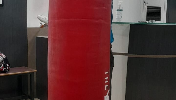 Full size boxing bag