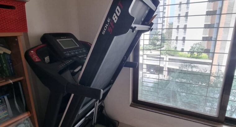 Professional Treadmill