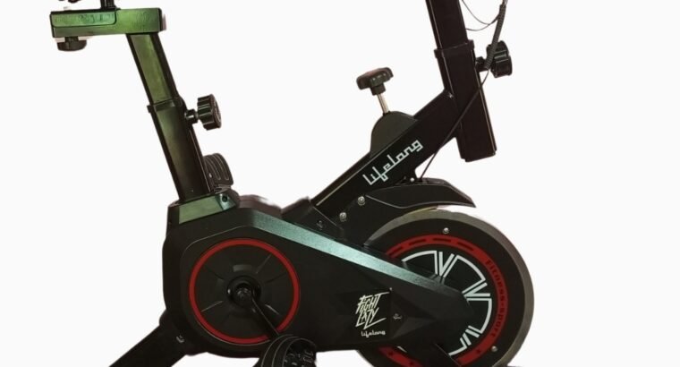 Lifelong LLESB99 Exercise Spin Fitness Bike