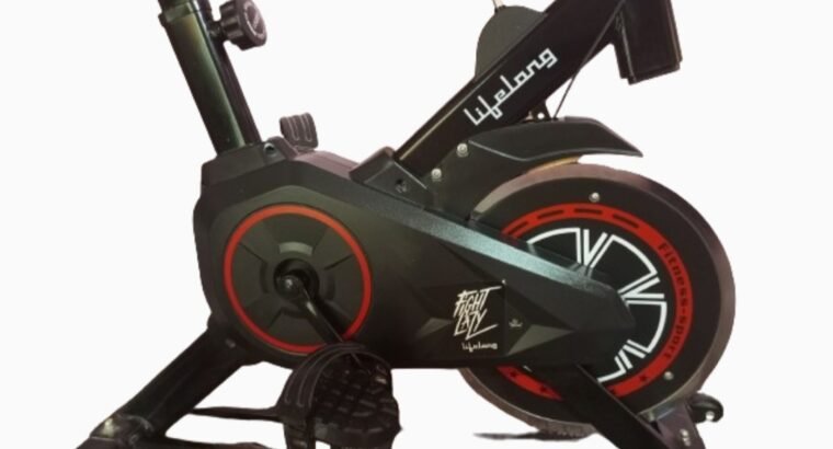 Lifelong LLESB99 Exercise Spin Fitness Bike