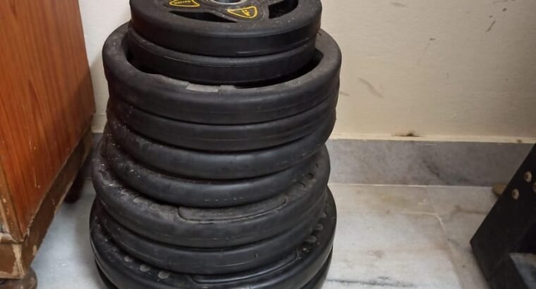 Dumbells , plates , rods and abs bench