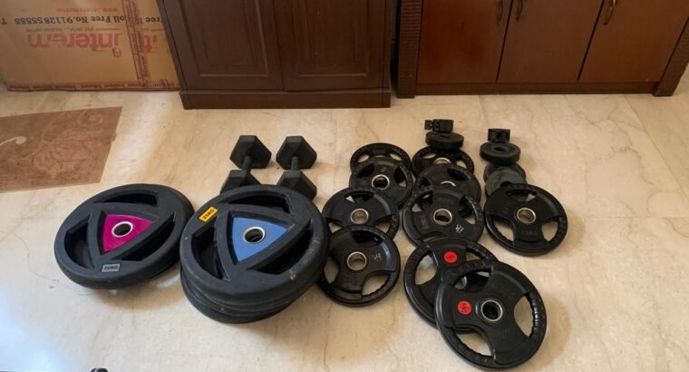 Weight plates + Olympic Barbell