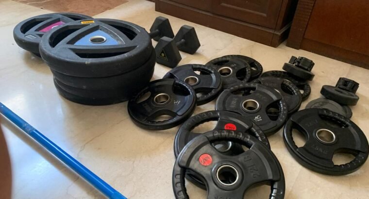 Weight plates + Olympic Barbell