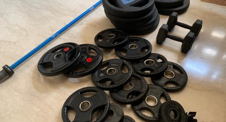 Weight plates + Olympic Barbell