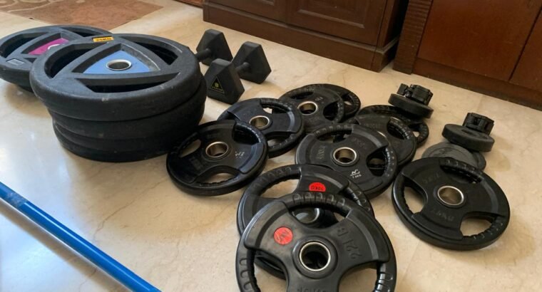 Weight plates + Olympic Barbell