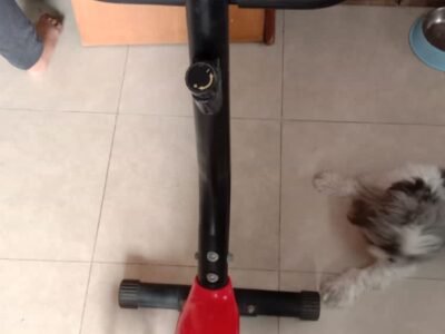 Excercise Cycle for sale