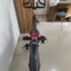 Fitline – Spin Bike