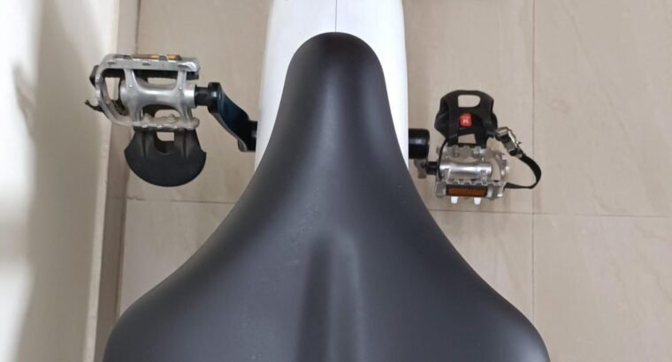 Reach Invicta Exercise Cycle