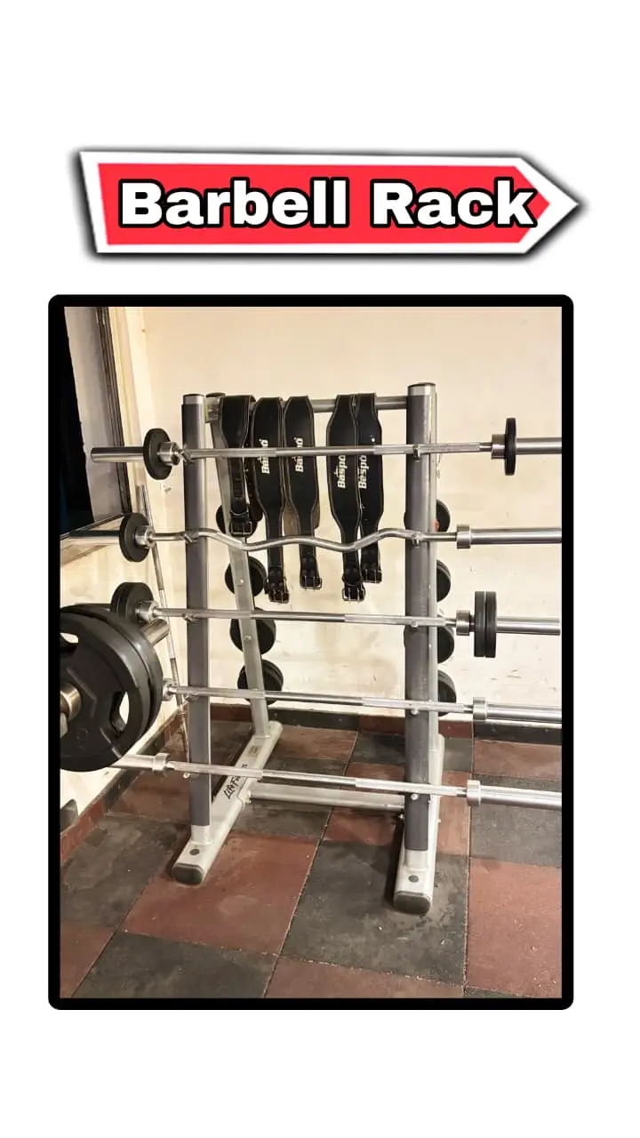 Life Fitness Signature Series Equipment
