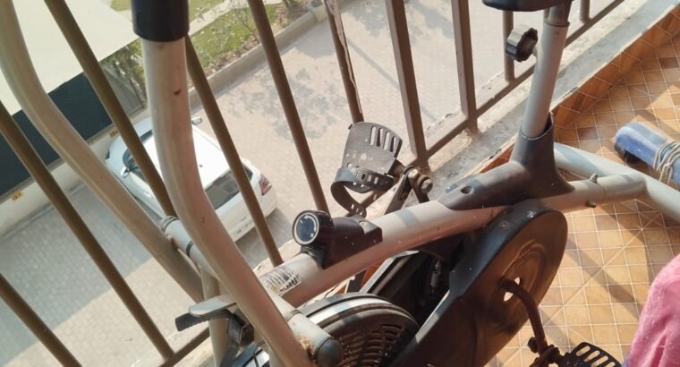 Body Gym Air Bike With Movable Handle-Silver/Black