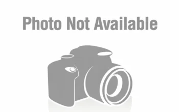 Rakso Deadlift belt